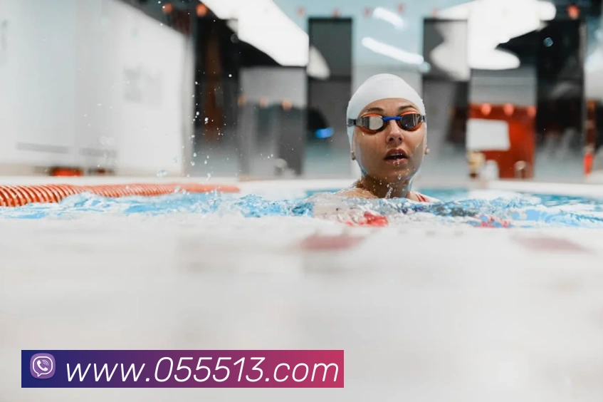 500万彩票网平台生态图